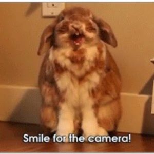 Meet your Posher, Falcon